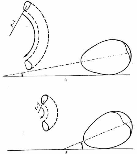 Положение яйца толстоклювой кайры на гнездовом карнизе и радиус окружности, описываемой им при толчке: а - ненасижинное яйцо, б - насиженное яйцо.